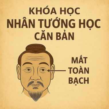 Khóa Học Nhân Tướng Học Căn Bản