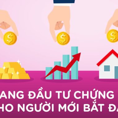 Kiến Thức Cơ Bản Thị Trường Chứng Khoán Cho Người Mới Bắt Đầu - TRẦN QUANG VINH (20 Bài)
