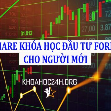 Share khóa học “Đầu Tư Ngoại Hối Cho Người Mới Bắt Đầu”