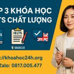 Top 3 Khóa Học IELTS Chất Lượng Nhất Hiện Nay