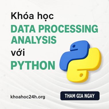 Khoá học Data Processing Analysis với Python