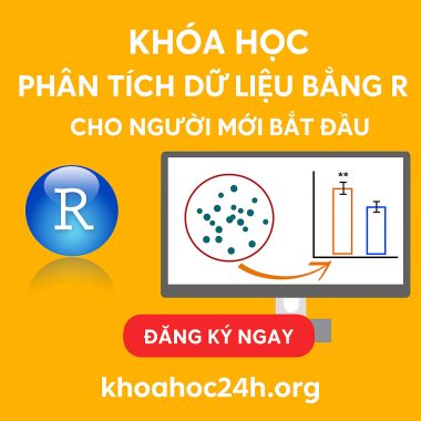 Khóa Học Phân Tích Dữ Liệu Bằng R Cho Người Mới Bắt Đầu