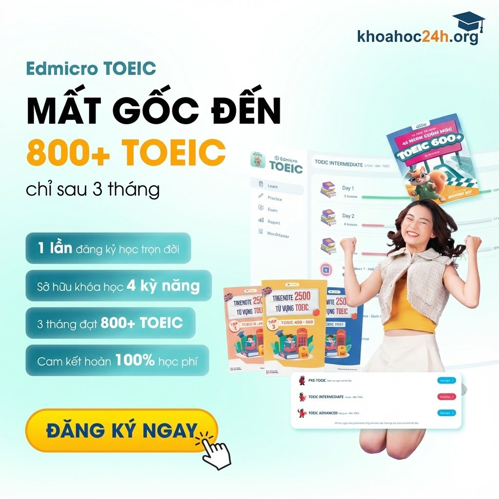 Khóa Học Mất Gốc Đến 800+ Toeic Chỉ Sau 3 Tháng