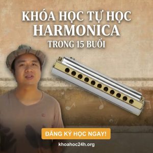 Khóa Học Tự Học Harmonica Trong 15 Buổi
