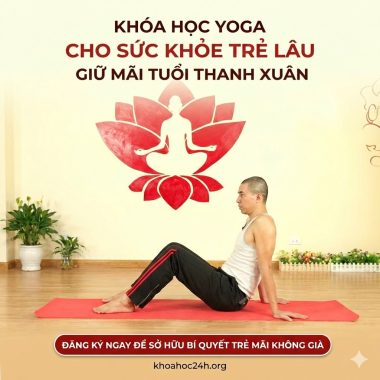 Khóa Học Yoga Cho Sức Khỏe Trẻ Lâu Giữ Mãi Tuổi Thanh Xuân